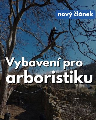 🌳 Dnes slavíme Den stromů! Den všech, kteří se ke stromům chovají s respektem – ať už je sázíš, lezeš po nich, nebo o ně...
